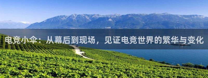 易游电竞官网：电竞小伞：从幕后到现场，见证电竞世界的繁华与变化