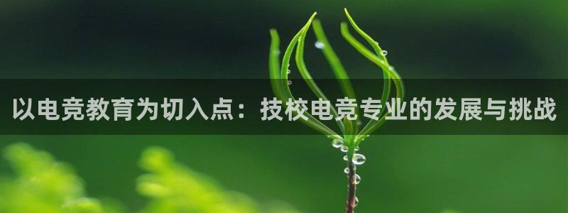 易游电竞官网：以电竞教育为切入点：技校电竞专业的发展与挑战