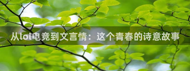 易游电竞官网：从lol电竞到文言情：这个青春的诗意故事