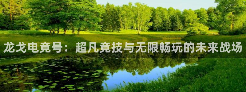 易游电竞：龙戈电竞号：超凡竞技与无限畅玩的未来战场