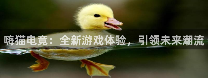 易游电竞官网：嗨猫电竞：全新游戏体验，引领未来潮流