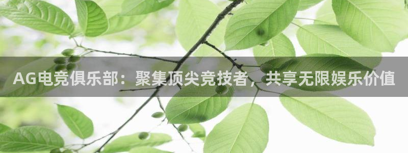 易游电竞官网