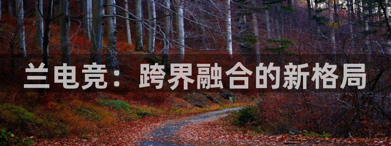 易游电竞：兰电竞：跨界融合的新格局