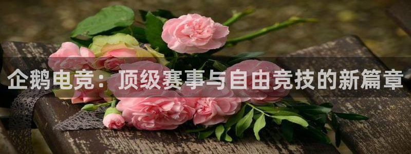 易游电竞：企鹅电竞：顶级赛事与自由竞技的新篇章