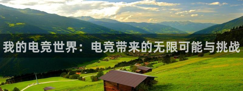 易游电竞