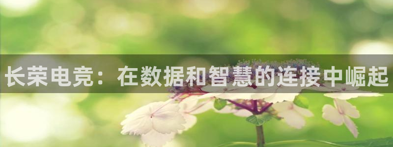 易游电竞：长荣电竞：在数据和智慧的连接中崛起