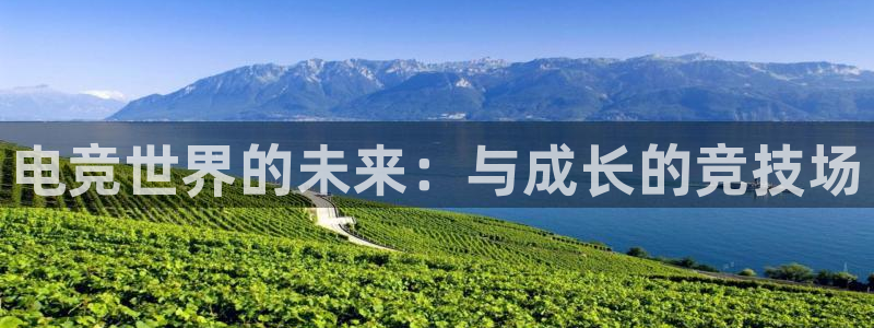易游电竞：电竞世界的未来：与成长的竞技场
