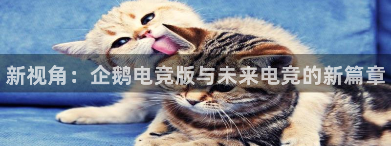 易游电竞官网