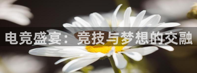 易游电竞：电竞盛宴：竞技与梦想的交融