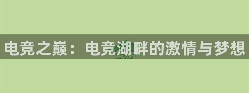 易游电竞：电竞之巅：电竞湖畔的激情与梦想