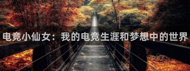 易游电竞官网：电竞小仙女：我的电竞生涯和梦想中的世界