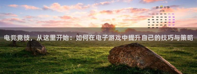 易游电竞官网：电竞竞技，从这里开始：如何在电子游戏中提升自己的技巧与策略