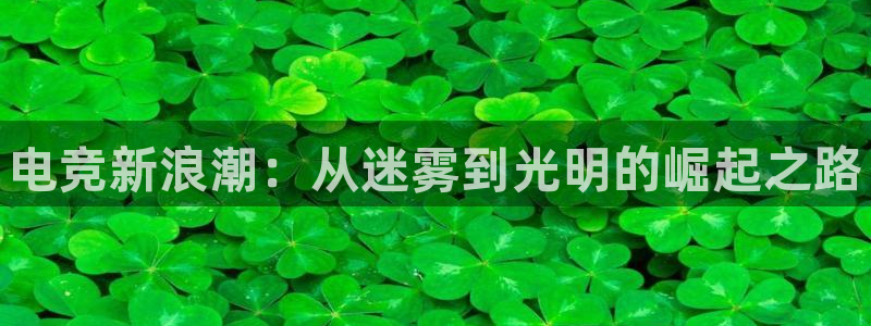 易游电竞：电竞新浪潮：从迷雾到光明的崛起之路