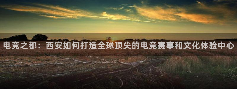 易游电竞：电竞之都：西安如何打造全球顶尖的电竞赛事和文化体验中心