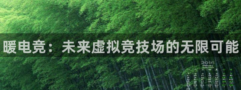 易游电竞官网：暖电竞：未来虚拟竞技场的无限可能