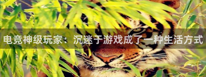 易游电竞：电竞神级玩家：沉迷于游戏成了一种生活方式