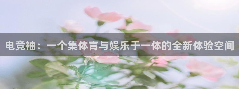易游电竞官网：电竞袖：一个集体育与娱乐于一体的全新体验空间