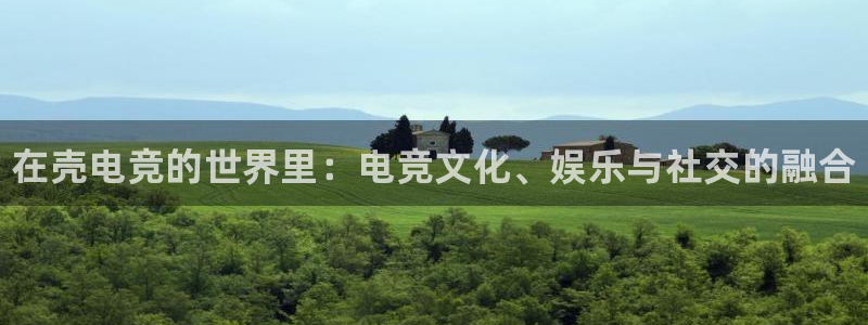 易游电竞：在壳电竞的世界里：电竞文化、娱乐与社交的融合