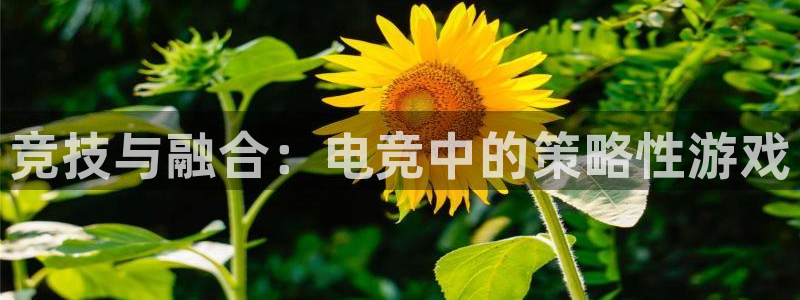 易游电竞官网：竞技与融合：电竞中的策略性游戏