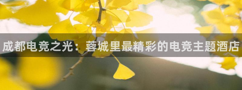 易游电竞官网：成都电竞之光：蓉城里最精彩的电竞主题酒店