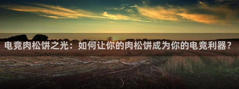 易游电竞官网：电竞肉松饼之光：如何让你的肉松饼成为你的电竞利器？