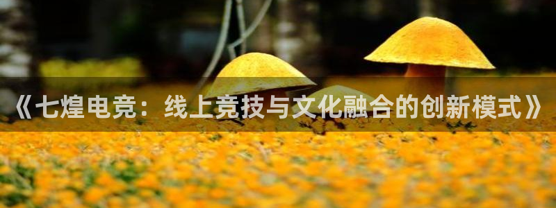 易游电竞：《七煌电竞：线上竞技与文化融合的创新模式》