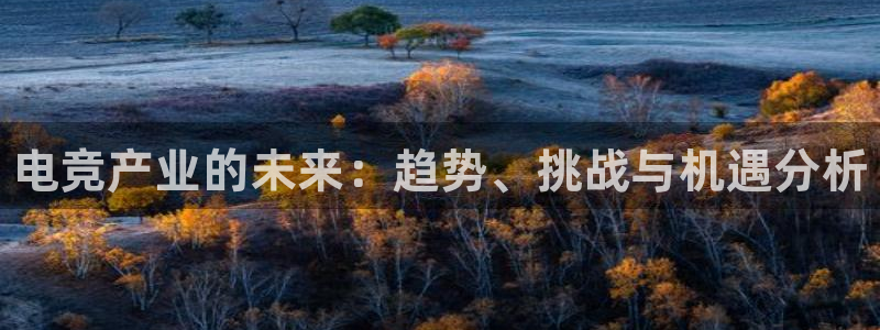 易游电竞官网：电竞产业的未来：趋势、挑战与机遇分析