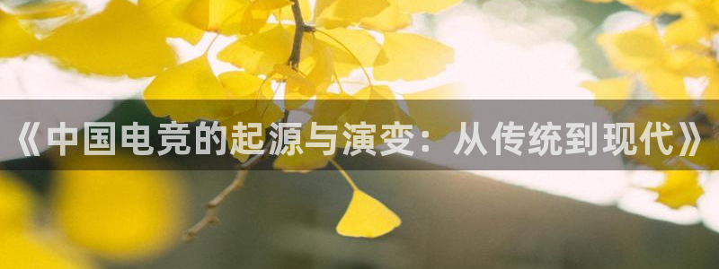 易游电竞官网：《中国电竞的起源与演变：从传统到现代》