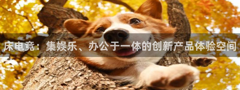 易游电竞官网：床电竞：集娱乐、办公于一体的创新产品体验空间
