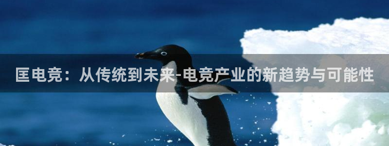 易游电竞：匡电竞：从传统到未来-电竞产业的新趋势与可能性