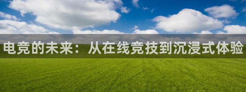 易游电竞：电竞的未来：从在线竞技到沉浸式体验