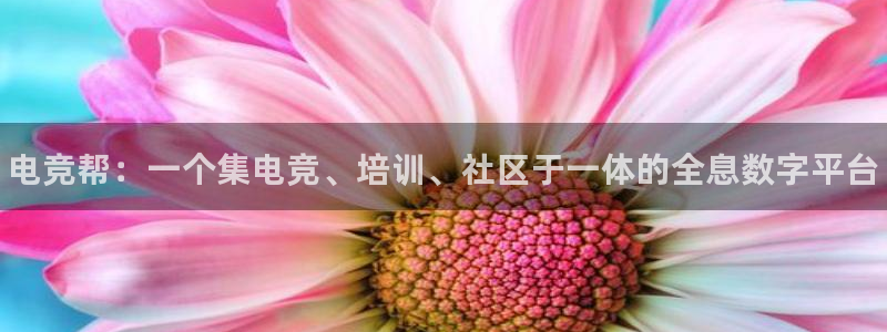 易游电竞官网：电竞帮：一个集电竞、培训、社区于一体的全息数字平台