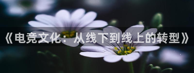 易游电竞：《电竞文化：从线下到线上的转型》