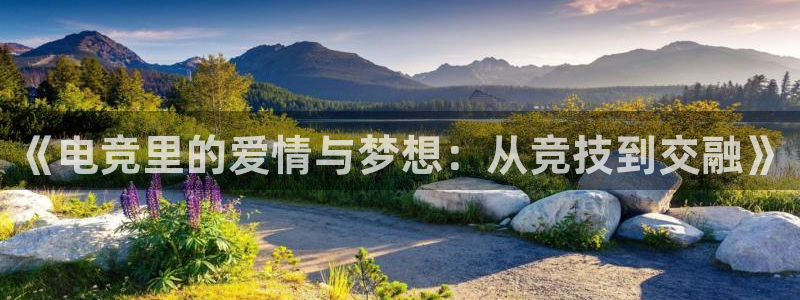 易游电竞：《电竞里的爱情与梦想：从竞技到交融》
