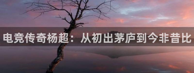 易游电竞：电竞传奇杨超：从初出茅庐到今非昔比