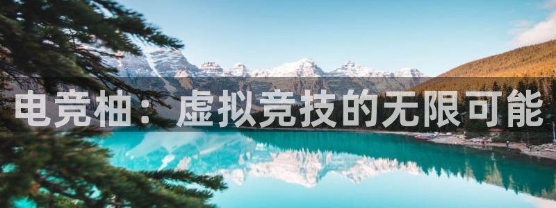 易游电竞：电竞柚：虚拟竞技的无限可能