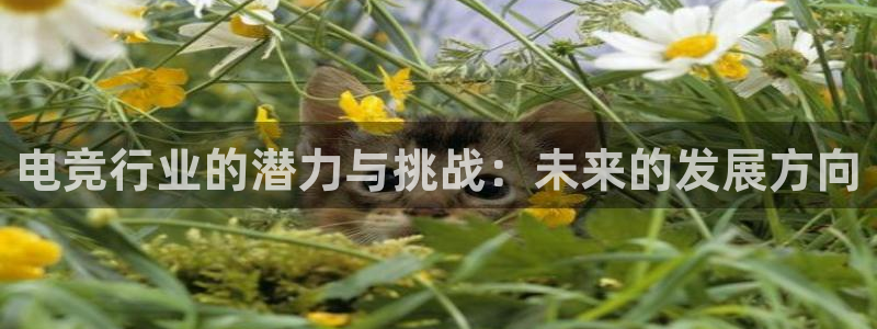 易游电竞：电竞行业的潜力与挑战：未来的发展方向