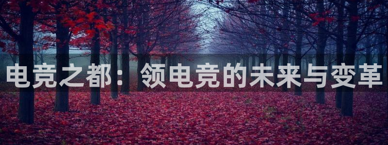 易游电竞：电竞之都：领电竞的未来与变革