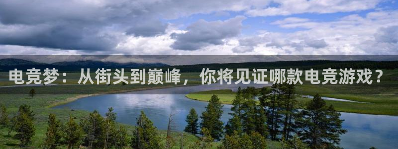 易游电竞：电竞梦：从街头到巅峰，你将见证哪款电竞游戏？