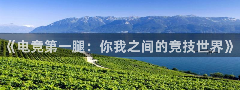 易游电竞官网：《电竞第一腿：你我之间的竞技世界》