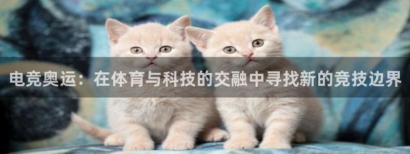 易游电竞