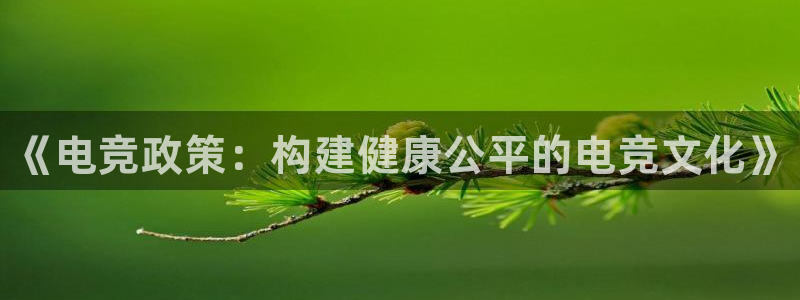 易游电竞：《电竞政策：构建健康公平的电竞文化》