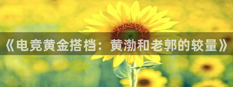 易游电竞：《电竞黄金搭档：黄渤和老郭的较量》
