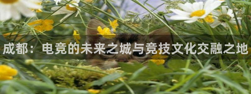 易游电竞：成都：电竞的未来之城与竞技文化交融之地