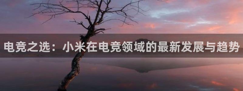 易游电竞官网：电竞之选：小米在电竞领域的最新发展与趋势