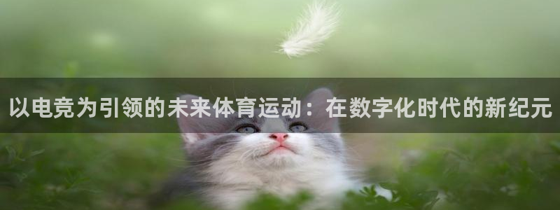 易游电竞官网：以电竞为引领的未来体育运动：在数字化时代的新纪元