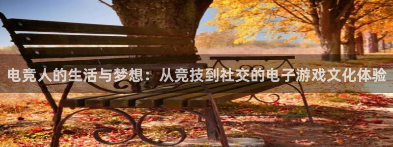 易游电竞官网：电竞人的生活与梦想：从竞技到社交的电子游戏文化体验