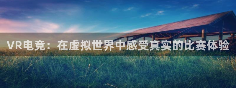 易游电竞：VR电竞：在虚拟世界中感受真实的比赛体验