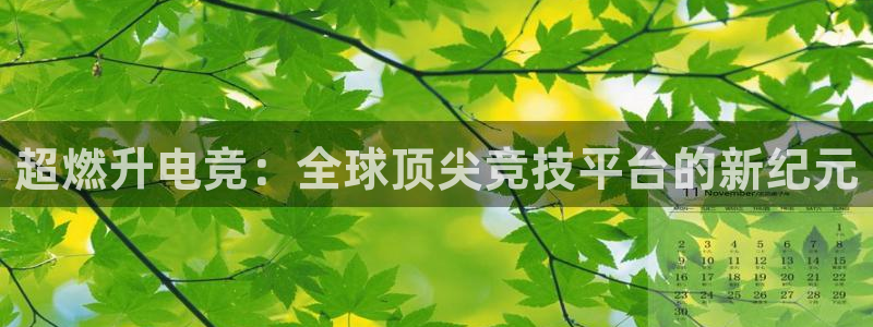易游电竞官网：超燃升电竞：全球顶尖竞技平台的新纪元