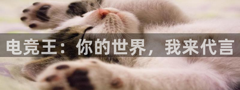 易游电竞：电竞王：你的世界，我来代言